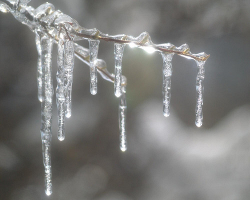 Porn afaerytalelife:Icicles, by Hugo R.. photos