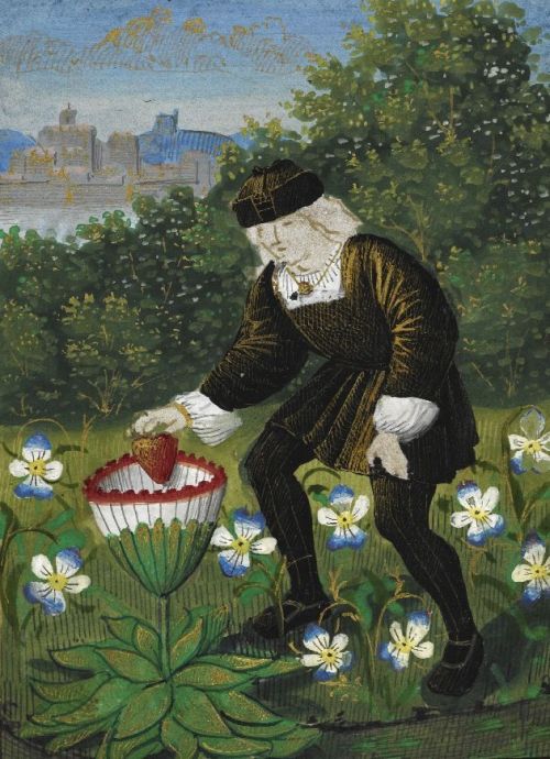 Pierre Sala(1457-1529) Petit Livre d'Amour