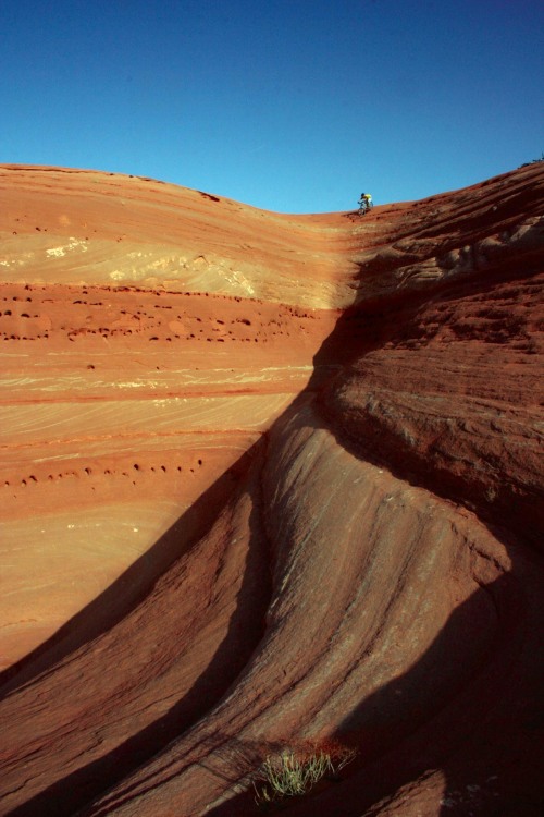 mooseknuckler:  Just droppin’ in.