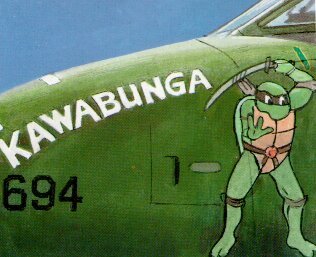 fcba:  A-10 Thunderbolt II nose art during porn pictures