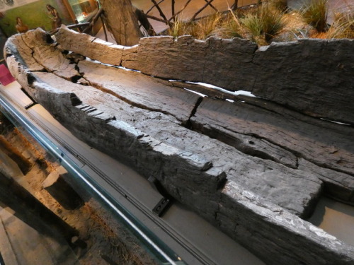 2500 Year Old Fiskerton Dugout Boat, The Collection, Lincoln, 15.8.17. Carved from a single oak tree