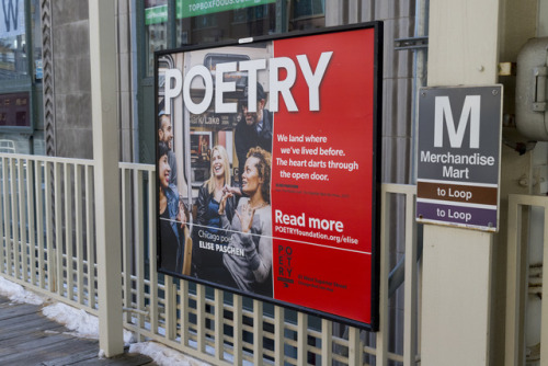 Gorgeous photos of our #CTApoets at “L” stops around Chicago by Intersection. If you see