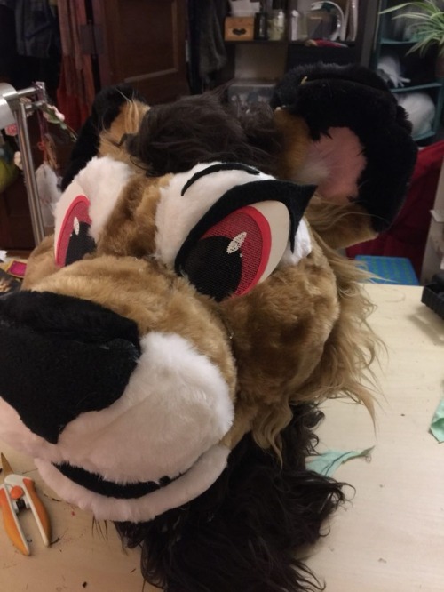 some of the last progress pics on Almond! I’ll put his finished pics in another post!
