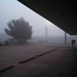 hellray:  As much as I loathe to be conscious at 6 a.m., the fog was cool this morning. I live for dreary weather.