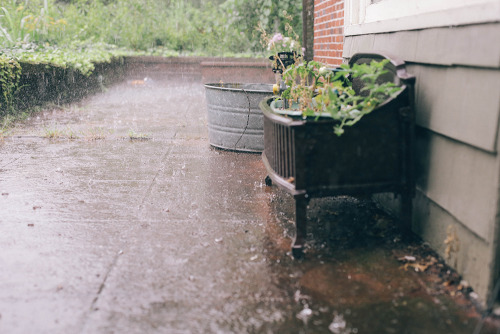 XXX sophiekawalek:  Summer storms. 7/23/2013 photo