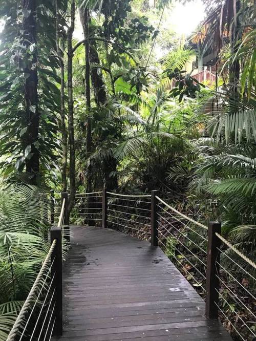 i-traveltheworld: Skyrail Rainforest Cableway, Cairns, Australia❤️❤️