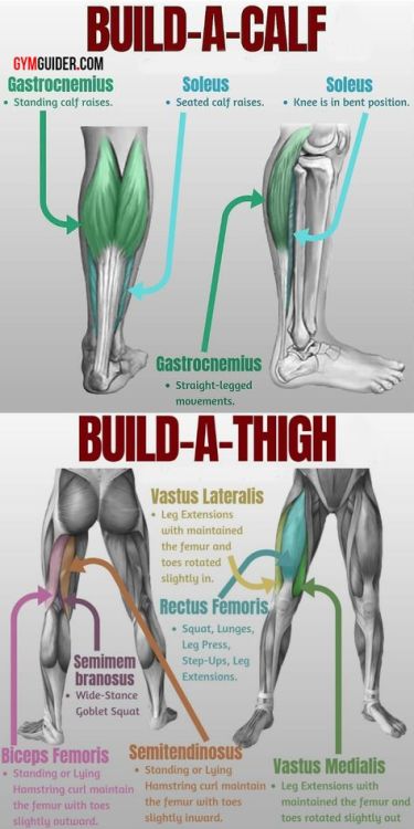 taichi-kungfu-online:  Build A Perfect Body