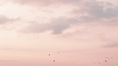 lavendervalar:D359/365 // July 24credit (pls don’t delete)being awake at sunrise feels like you’re o