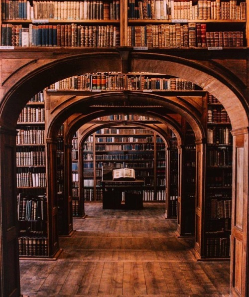 cozycupofcoffee:What a lovely day for a study session in the Hogwarts Library ⚡️