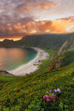 sundxwn:  Høyvika Beach by Stian Klo