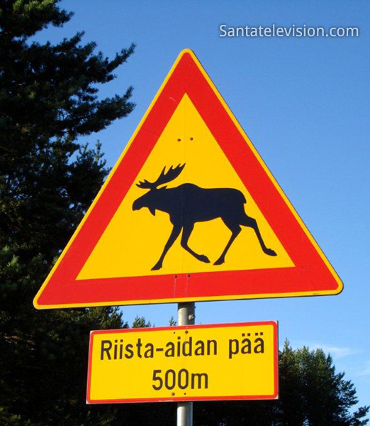 I feel like people need to know the Great Moose Truths.