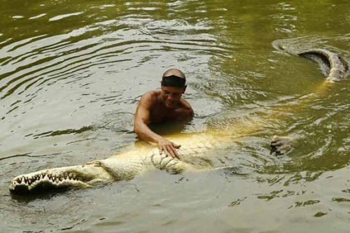 dudenaw:  WHAT  Pocho, the 5.2 meter (17 feet) long friendly crocodile! You’ve already met Gustave the killer croc, now it’s time to meet Pocho. Costa Rican fisherman Chito first met the croc after finding him with a gunshot wound on the banks of