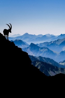 tect0nic:  Shadow of the Ibex by Gilles Baechler via 500px.  For all the Aries alike . I am one myself so is my sister .