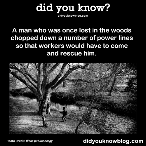 did-you-kno:  A man who was once lost in the woods chopped down a number of power lines so that workers would have to come and rescue him. Source