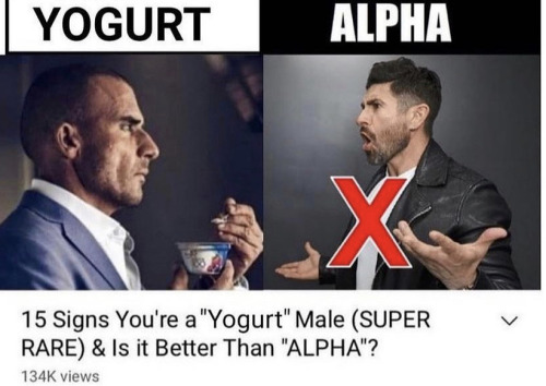 burnnotice-deactivated20221219:michael westen made this meme