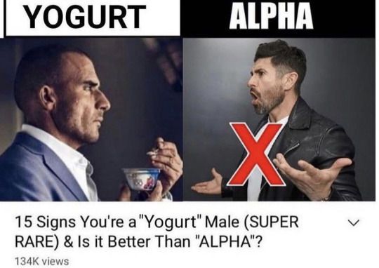 burnnotice-deactivated20221219:michael westen made this meme