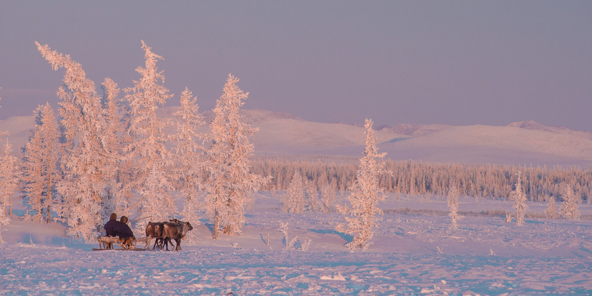 krasna-devica: Yamal, Siberia