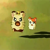 anarchycupcake:  Toonami’s Arsenal [29/88]: Hamtaro (2002 - 2004) “Well … they