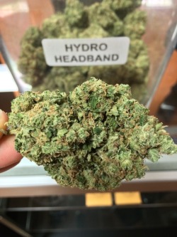 teelloo:  Hydro Headband | Top Shelf Hybrid