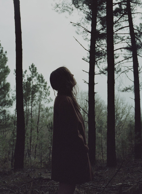 AESTHETICS--anonymous