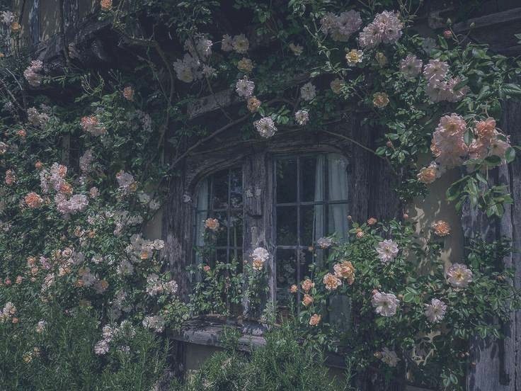 Grunge Fairycore Aesthetic GIF  Grunge Fairycore Aesthetic Flowers   Discover  Share GIFs