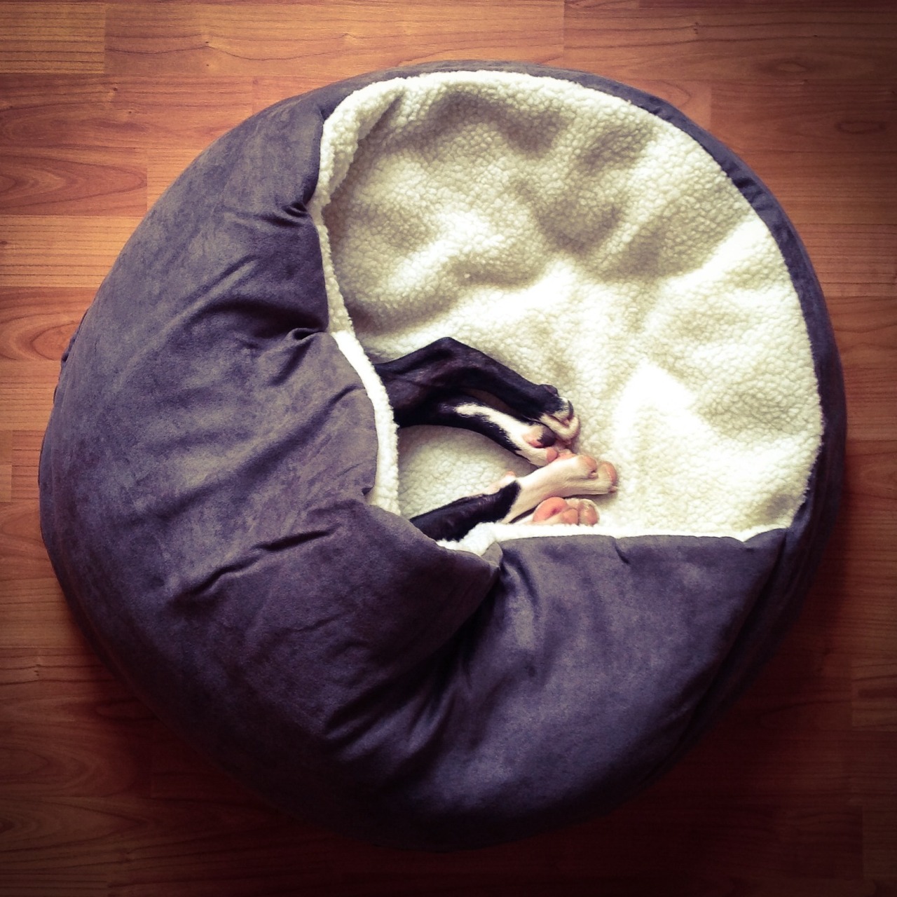 philipbruederle:  Enno
