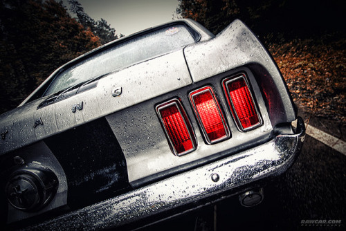 ford-mustang-generation:  Shelby Racing by Rawcar.com Photography on Flickr.