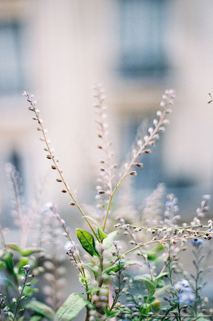 LOVELY