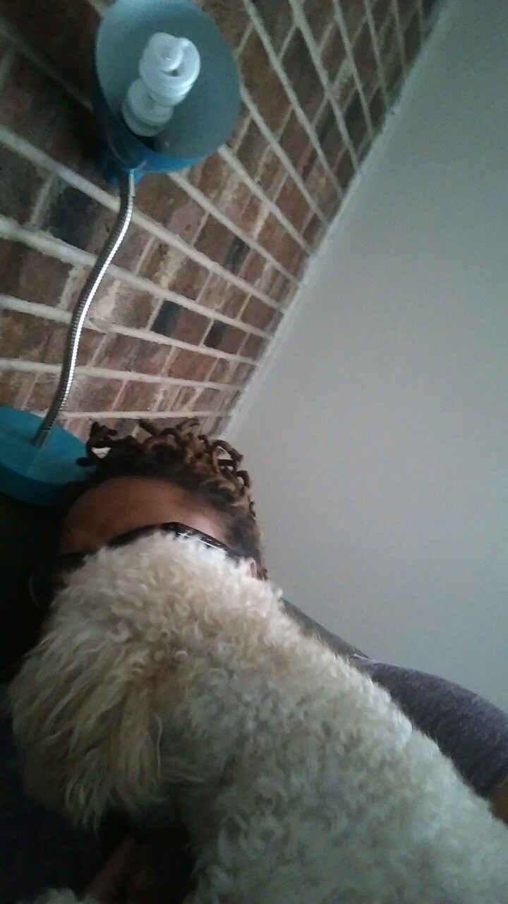 yourpunkassbookjockey:  He doesn’t understand personal space 🐩🌌  Definitely