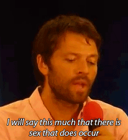 sammybitchfacewinchester:  supernaturalapocalypse:  Vancon 2013 (x). Misha says Castiel
