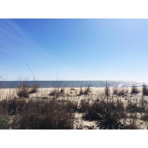 at Rehoboth Beach and Boardwalk