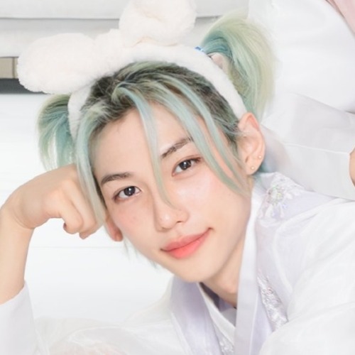 Stray Kids Matching Icons/metadinhas.