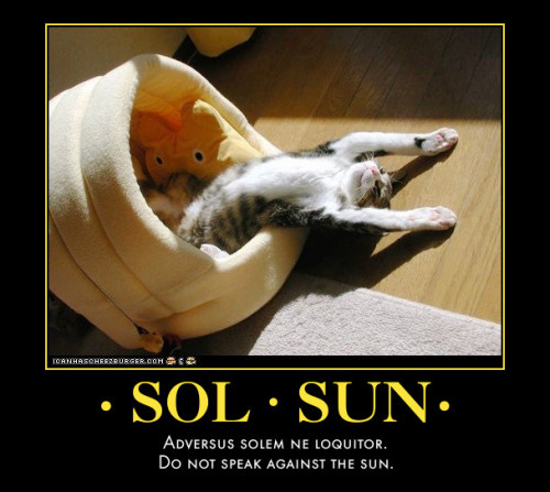 SolAdversus solem ne loquitor.SunDo not speak against the sun.(From Bestiaria Latina Blog.)