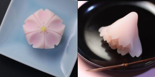 tanuki-kimono: Sakura shaped wagashi cakes by @wagashi_sanchan, perfect for having a whiff of Spring
