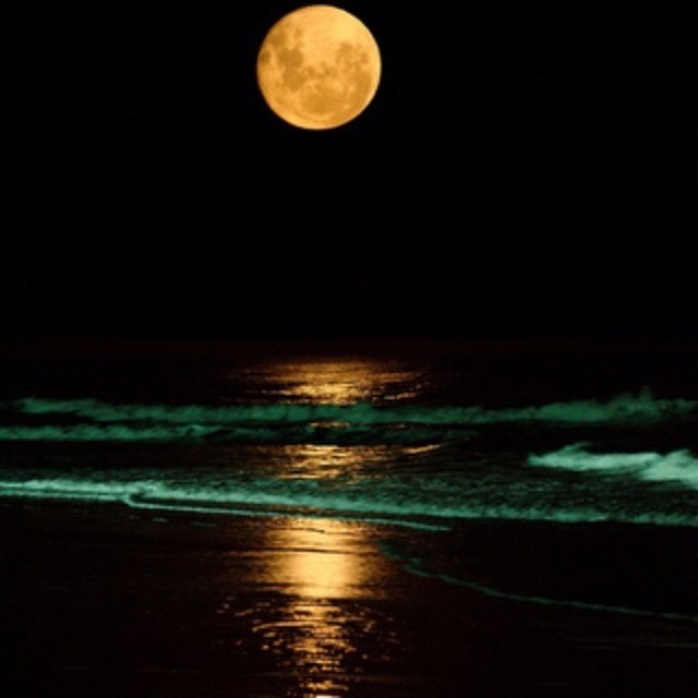 luna-eli:  This is just AMAZING!!! 😱😍 (From the Beach) #beautiful #amazing