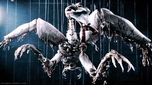 Anamorph (2007)