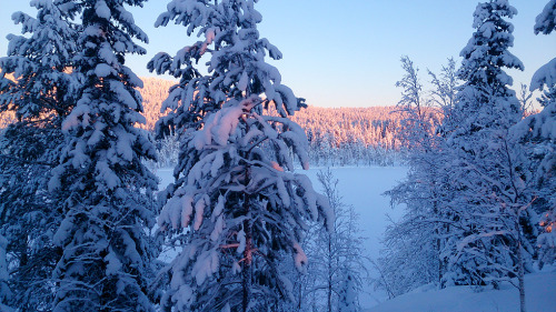 lienwyn - Christmas Eve in Bergnäs. My fingers were stiff from...