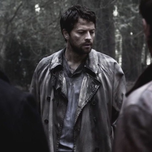 Obsessed With Loser Cas. Hottest Thing A Man Can Do Is Be Pathetic And Defeated.