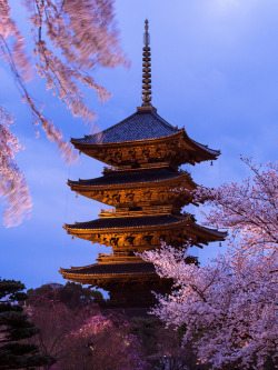 dreams-of-japan:  Spring Evening at Toji