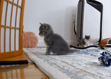 Uh Oh... Abort Mission!