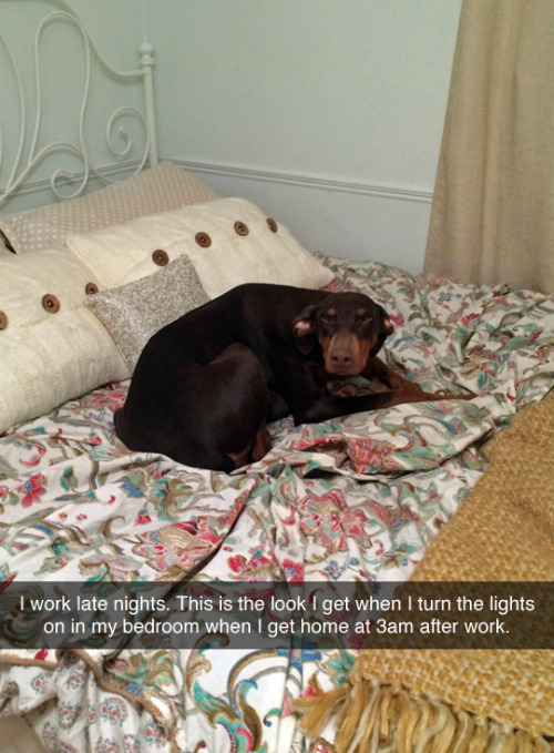 tastefullyoffensive:  [anchorless] 