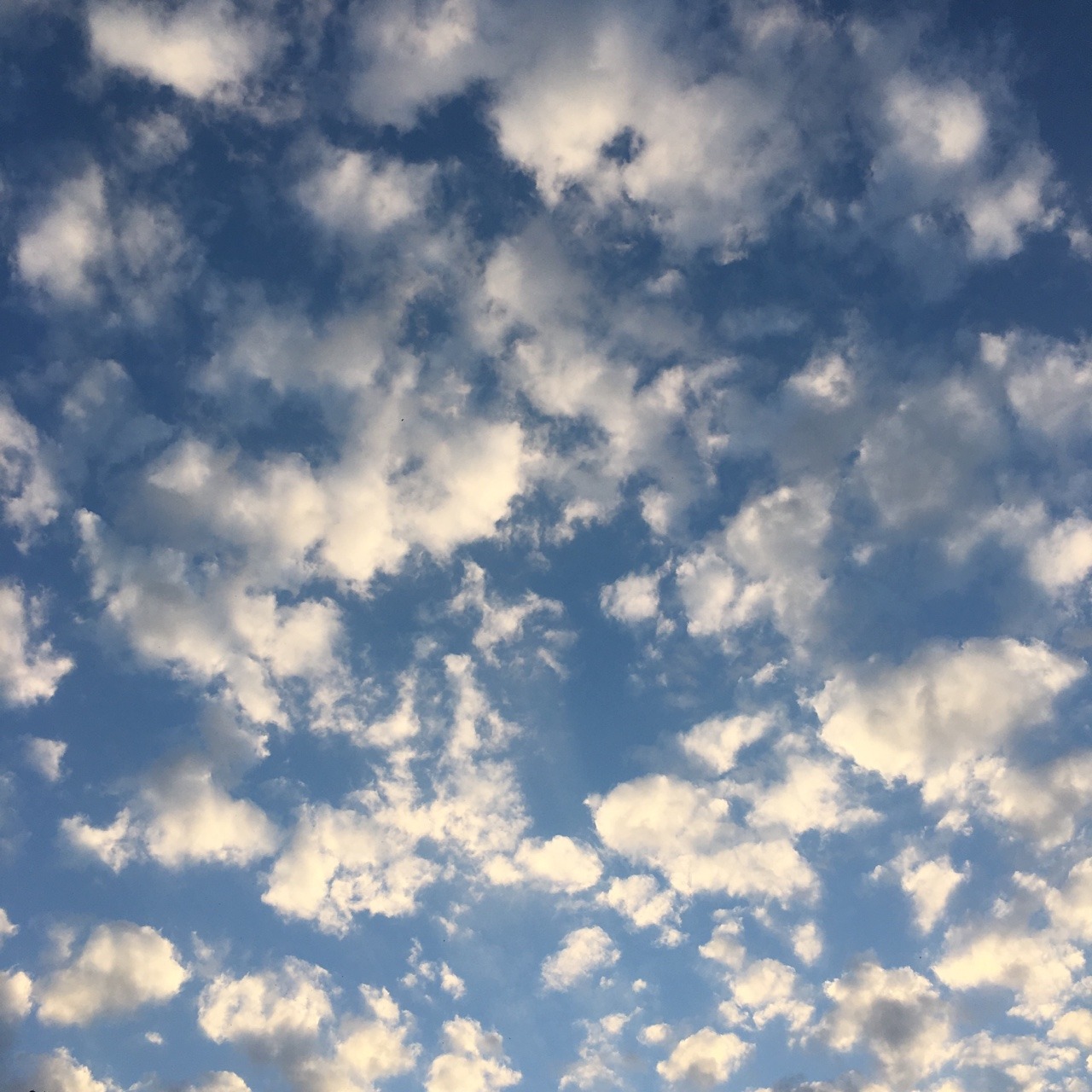 purrfectpeach:  Skies of May ‘17