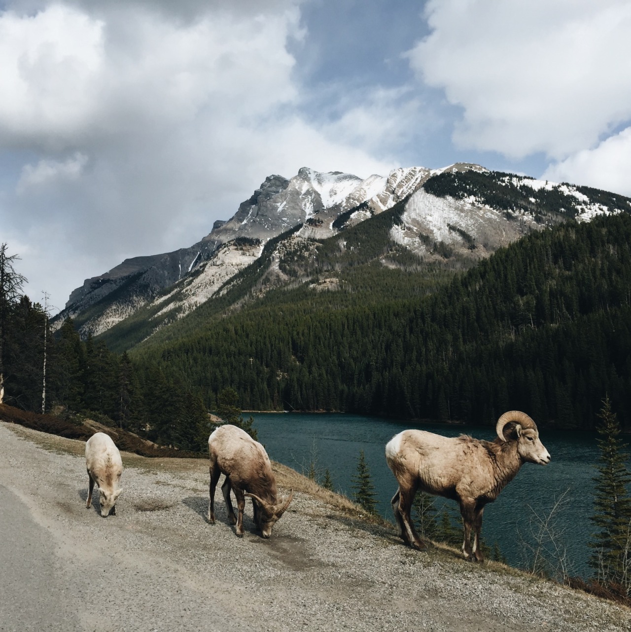 danielodowd:  http://daringwanderer.vsco.co/