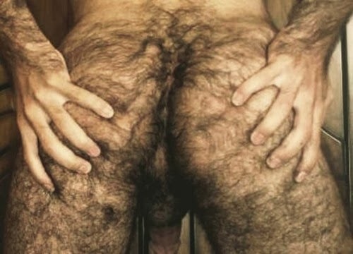 Porn Pics manbuttsrule:  There’s hairy ass, and there’s