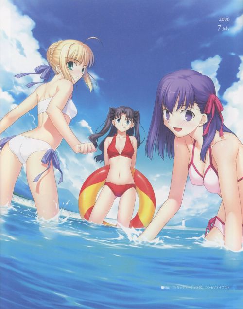 [TYPE-MOON] Fate/Art Chronicle Fate 10th Anniversary Art Book (Fate/stay night, Fate/hollow ataraxia)