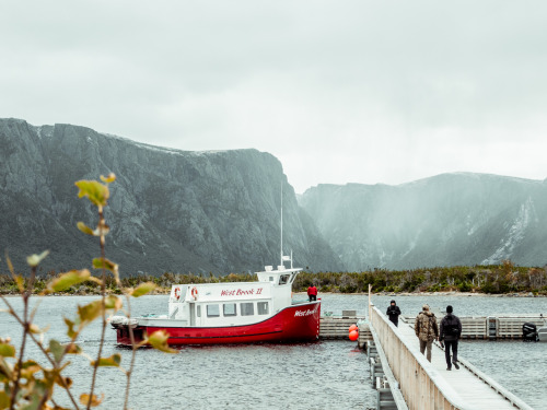 Sketching the breathtaking fjord of Western Brook Pond, Newfoundland, was like a dream!⁣⁣