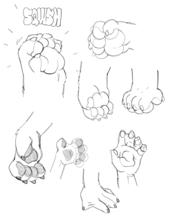 In the later half of my current sketchbook I’ve been doodling a lot of paws and hooves, so I thought it’d be fun to compile a lot of them into one post!