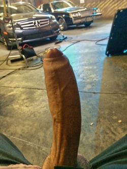 bigdicksinpublic:  pigshouse:  Nice stick