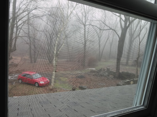 Today, my car is an ad for Honda of Silent Hill. Yeesh, you are hideous right now, Pennsylvania.