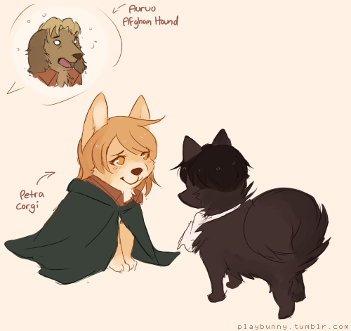 playbunny:  doodled some more snk pups to still my aching heart while i was watching